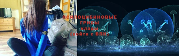 мдпв Навашино