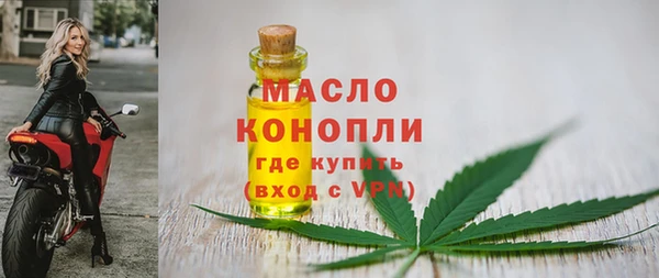 индика Тавда