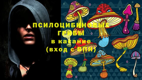 марки nbome Бородино