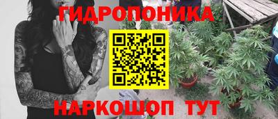 mdpv Кимры