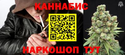 эйфоретик Кингисепп