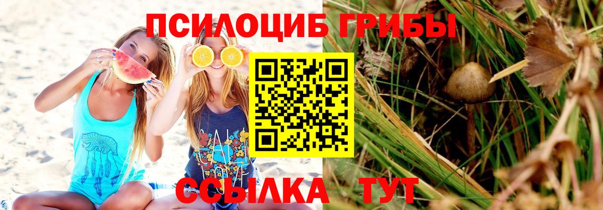 магазин продажи   Вход с VPN  Петровск  Псилоцибиновые грибы Magic Shrooms 