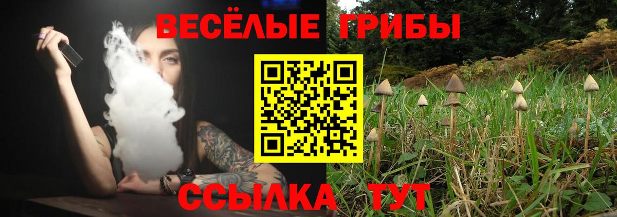 Псилоцибиновые грибы GOLDEN TEACHER Петровск