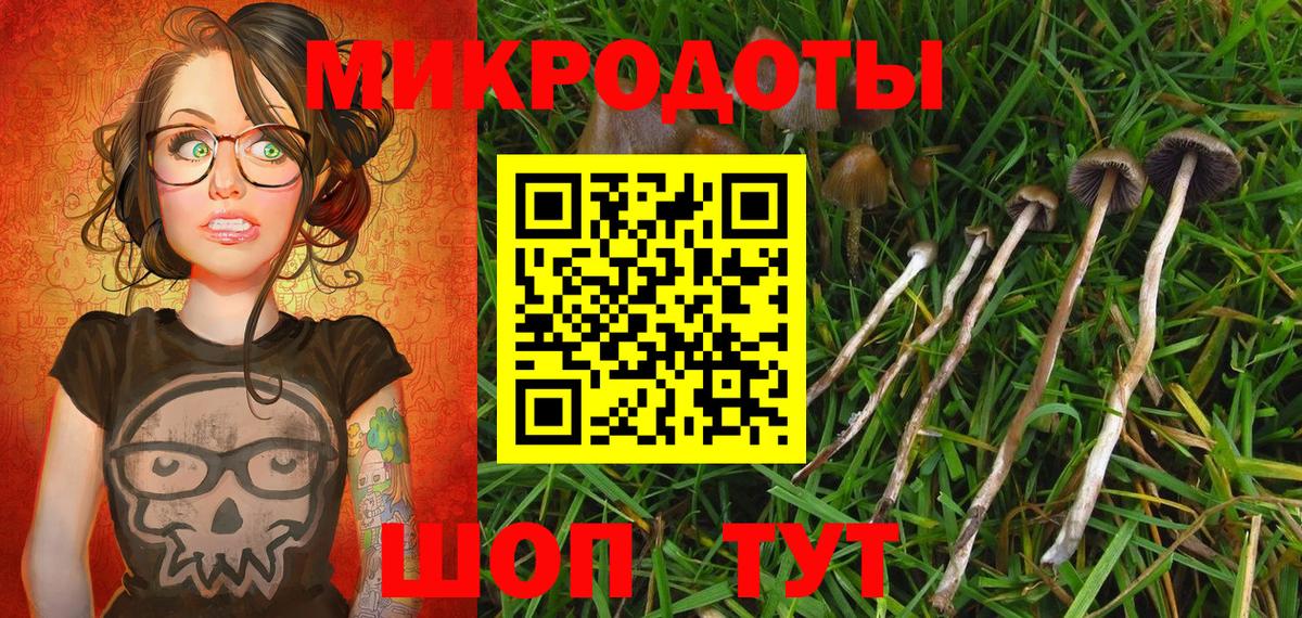 Галлюциногенные грибы Psilocybe Петровск