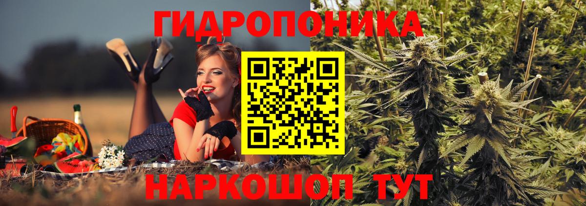 Каннабис OG Kush Петровск